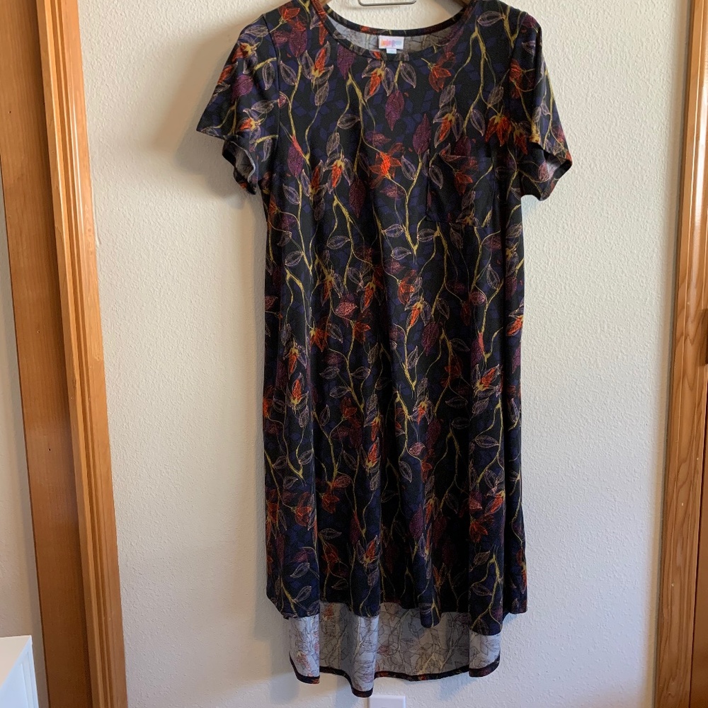 LulaRoe Carly Dress